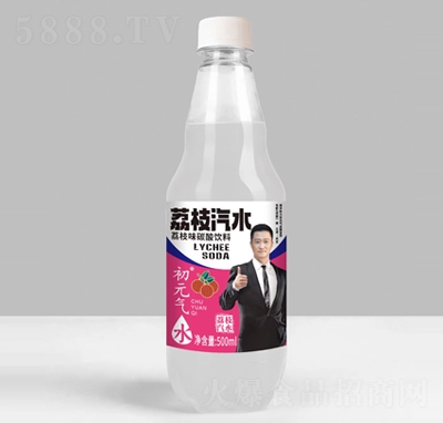 Ԫ֦ζˮ̼500ml