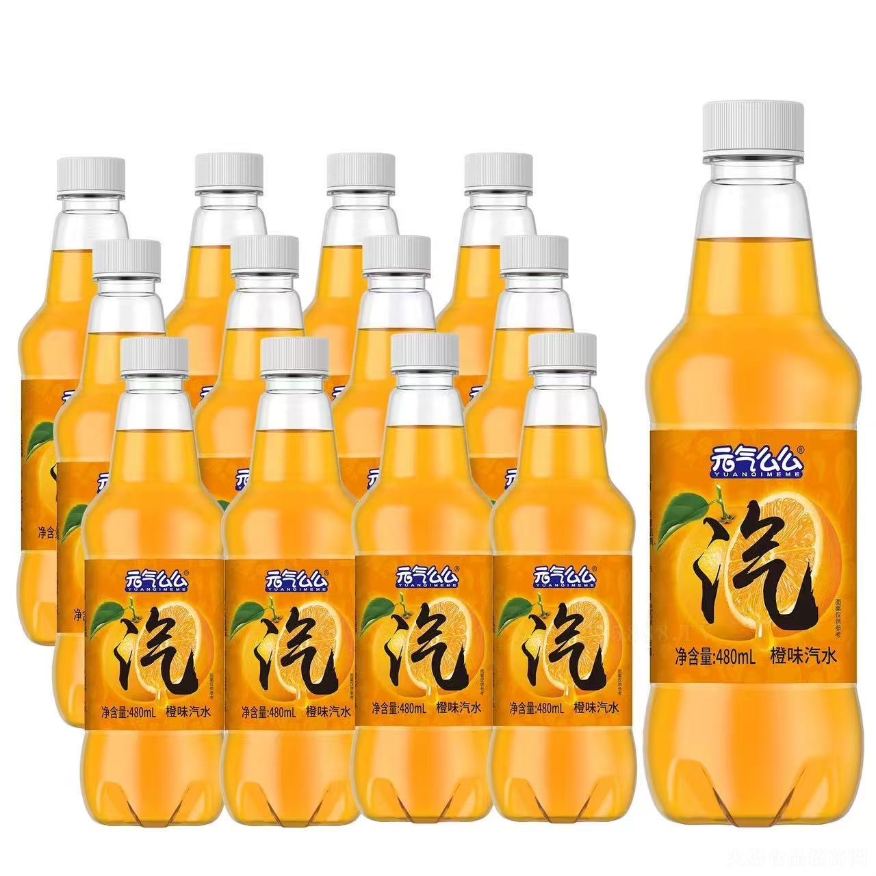 Ԫôôζˮ480ml