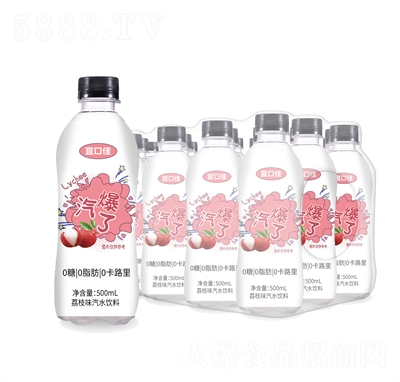 ˿ڼ֦ζˮ500mL